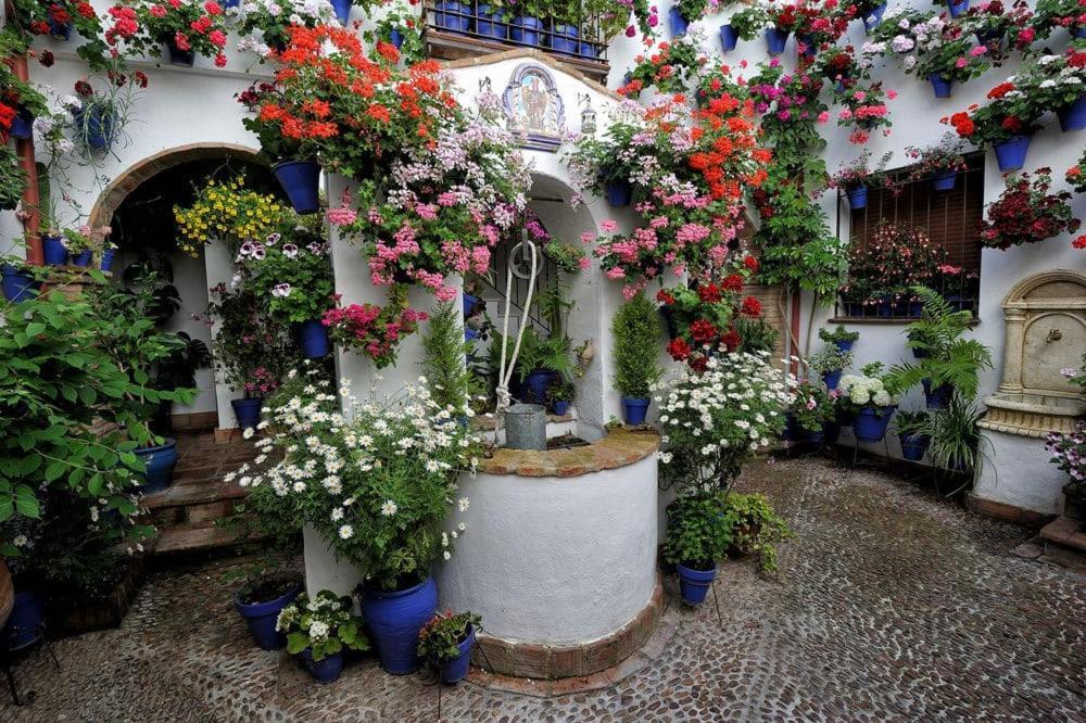 Apartamento Puerta De Cordoba- Exterior Con Balcones エクステリア 写真